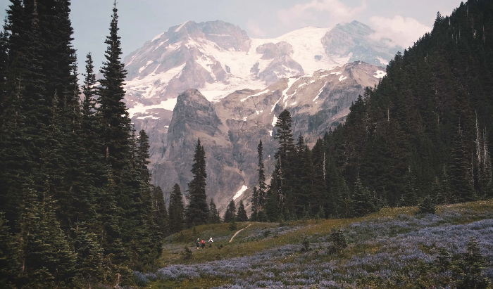 Dan Berlin Wonderland Trail