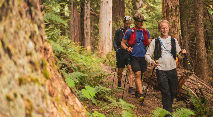 Hiking down trail