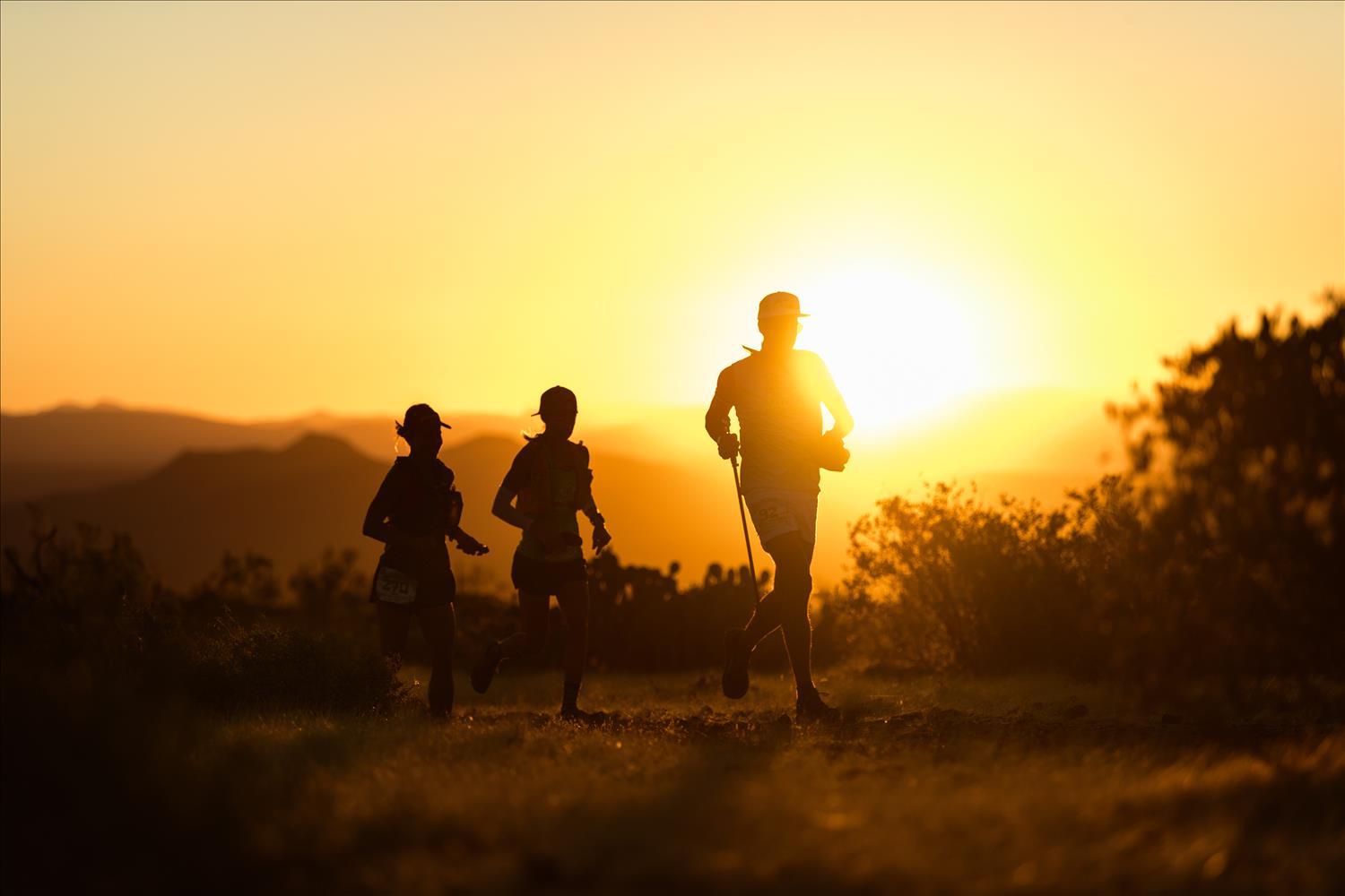 A closer look at the Javelina Jundred