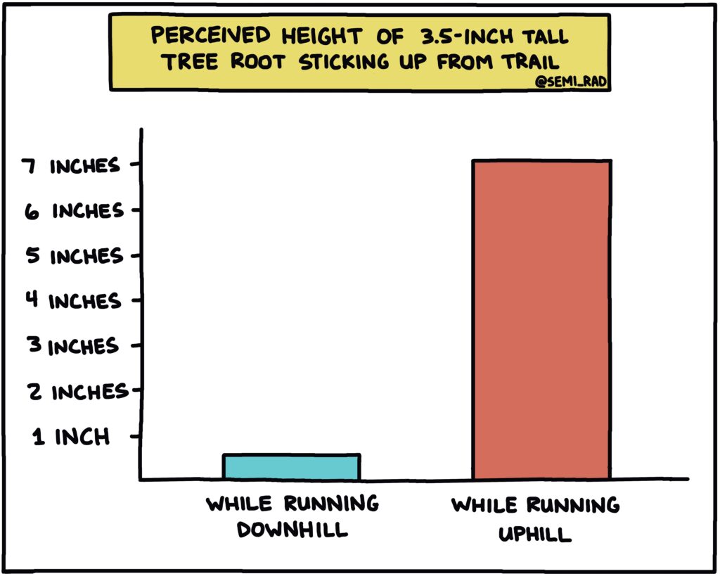 Perceived Height of a Tree Root - Semi-rad