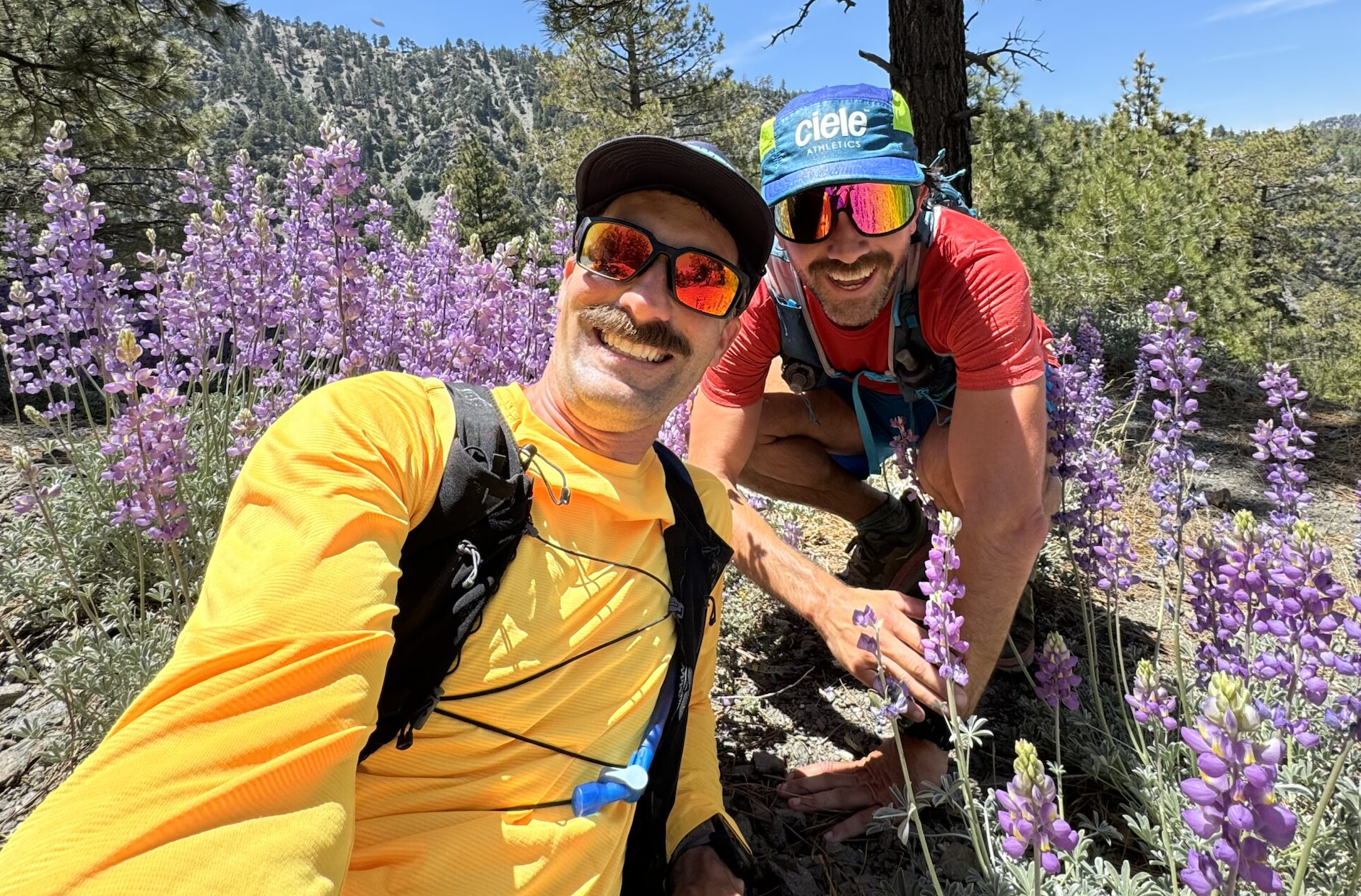 Between Two Pines Takes on Western States