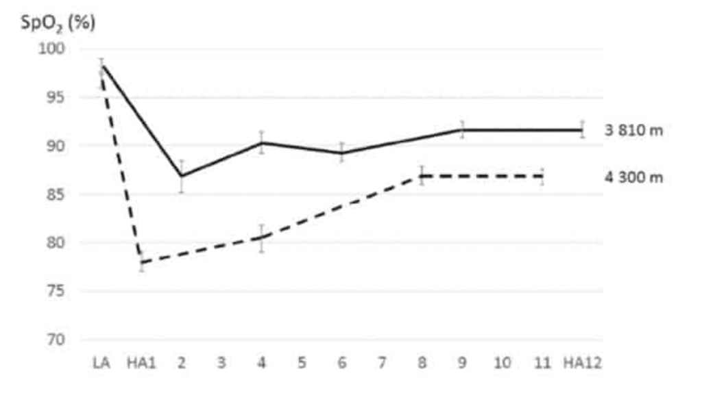 How to Prepare to Race at High Altitudes 3 Changes in oxygen saturation during altitude acclimation. The initial response lasts for 2-8 days, depending on altitude, after which the adaptation starts to plateau. From Dünwald et al. (2021).