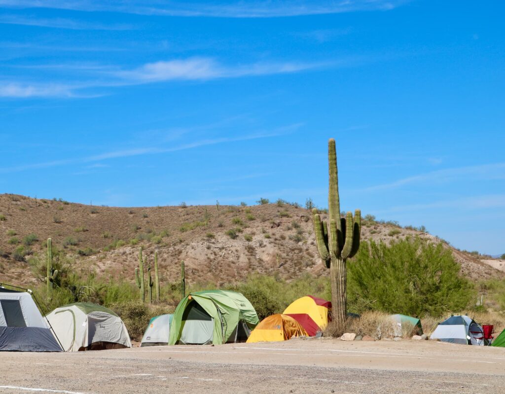 Possibly the best costume of ALL TIME! The McDowell Mountain Regional Park dressed up as a homeless encampment for the weekend... but actually it's just a bunch of stinky runners. ⛺️