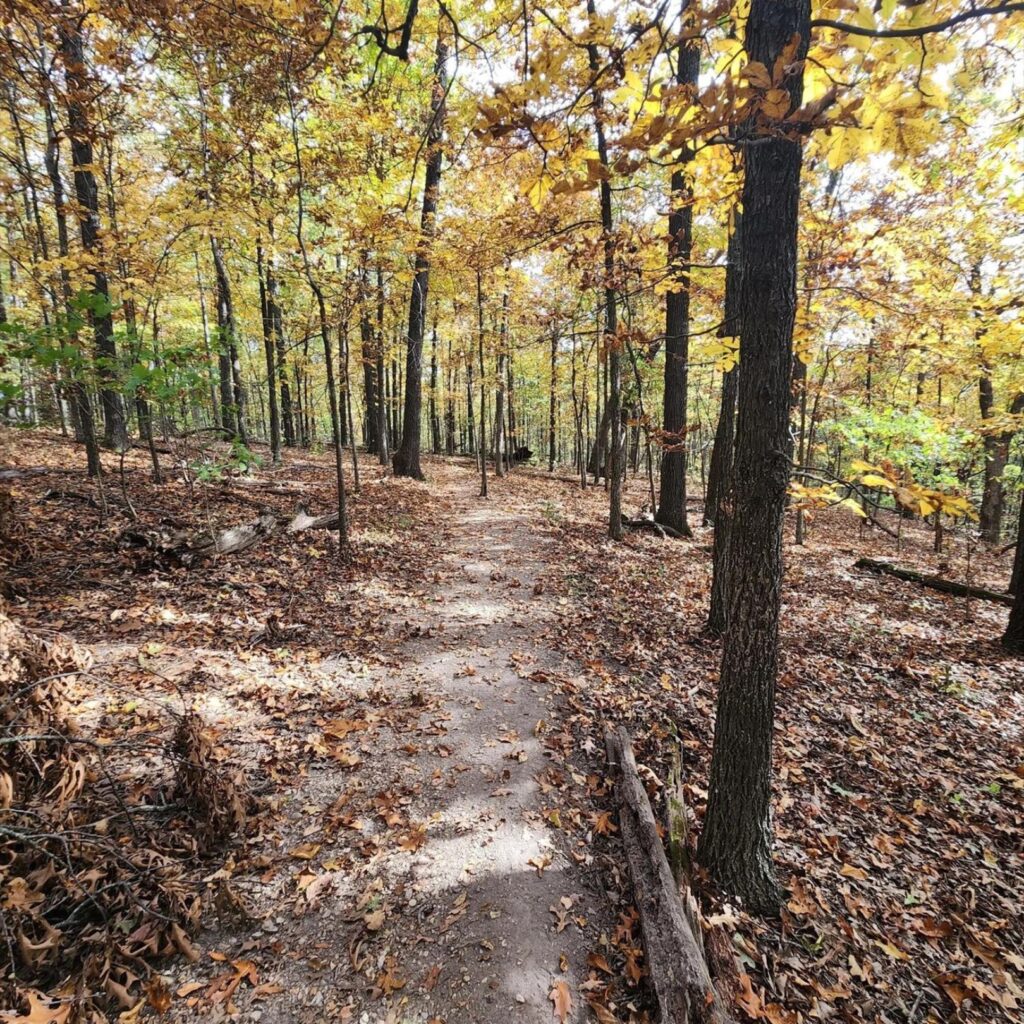 7 Trail Turkey Trots 2 Turkey Trek