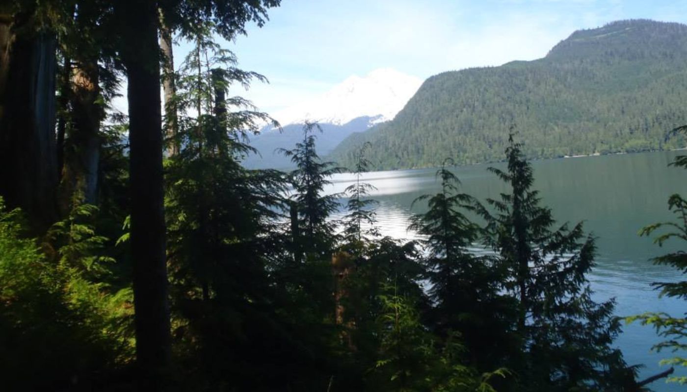 Baker Lake 50K