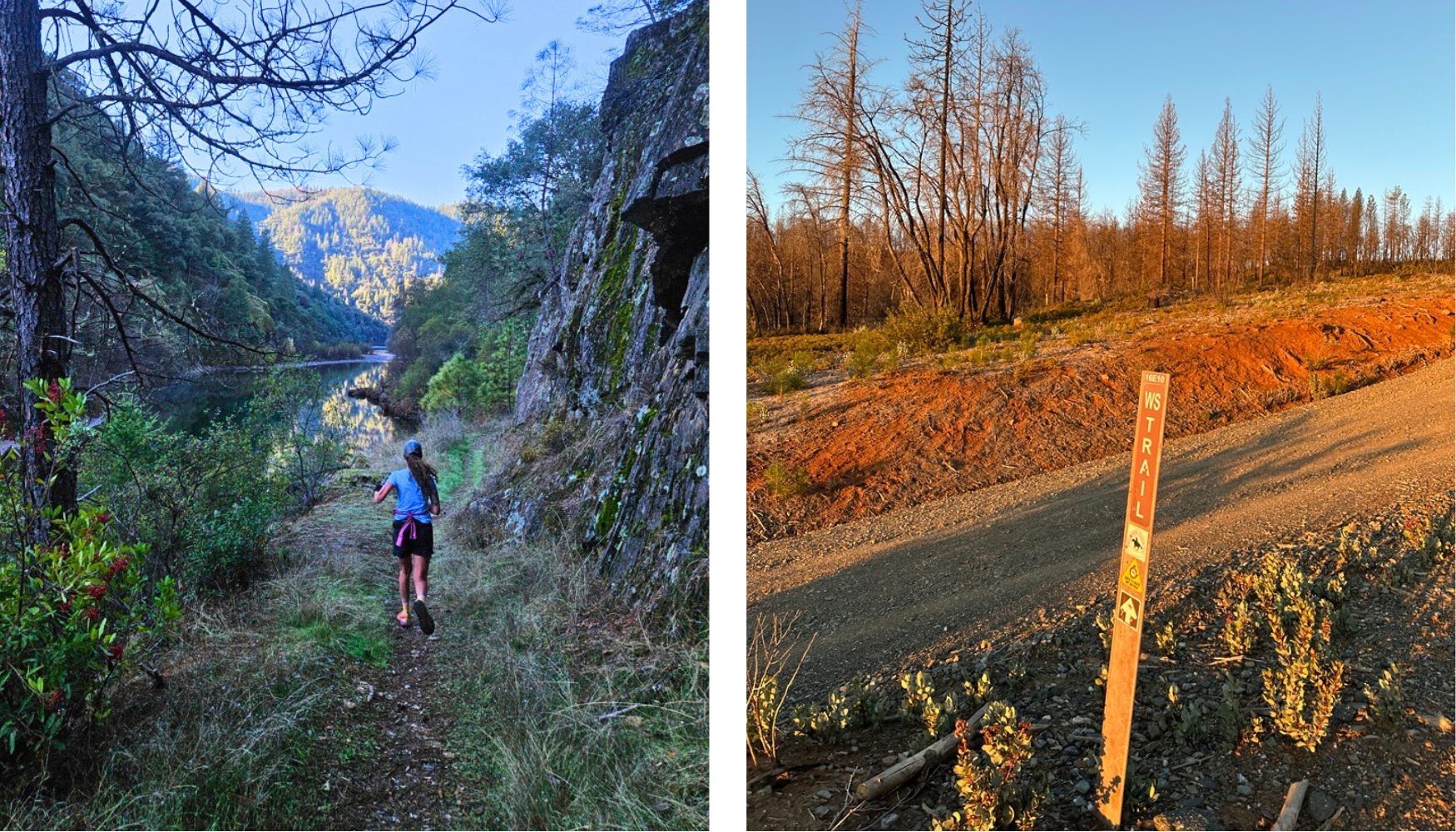 Scenes from Carrie training on the WSER trail.