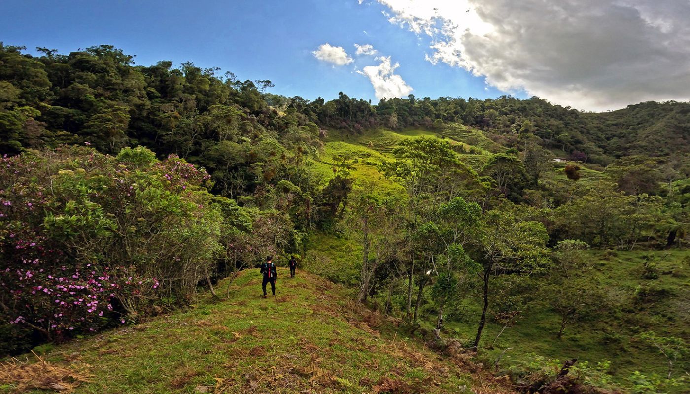 Terra Venture- Expedition Run