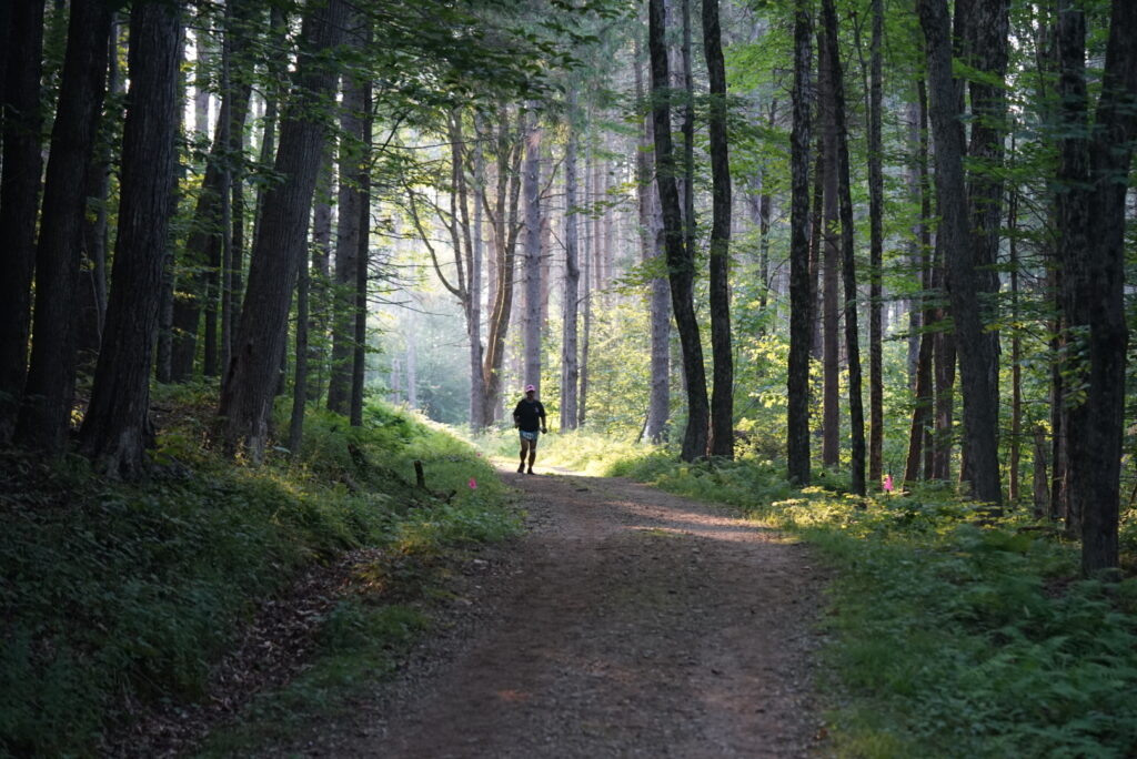 Races Opening in December 15 Notchview ultra