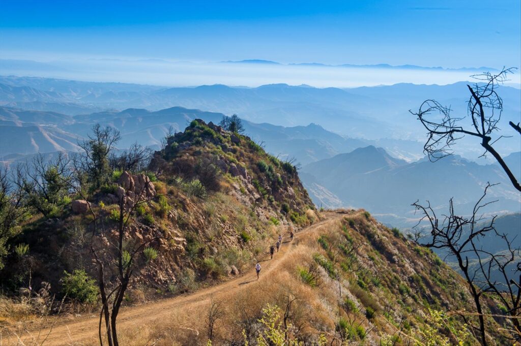 Races Opening in December 17 The Bulldog Ultra