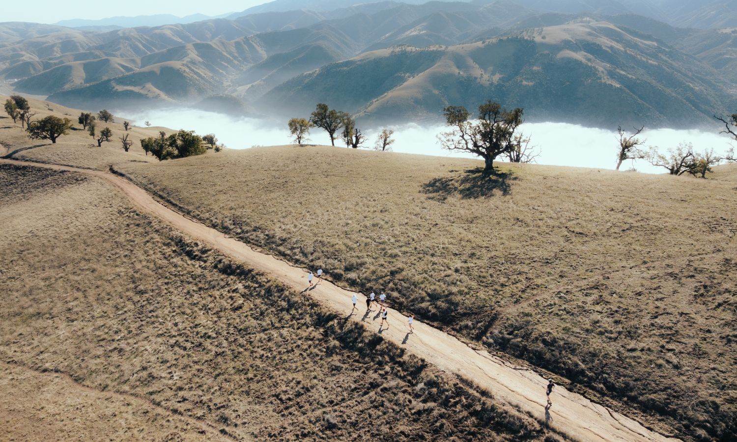 SoCalUltraTrail at Tejon Ranch