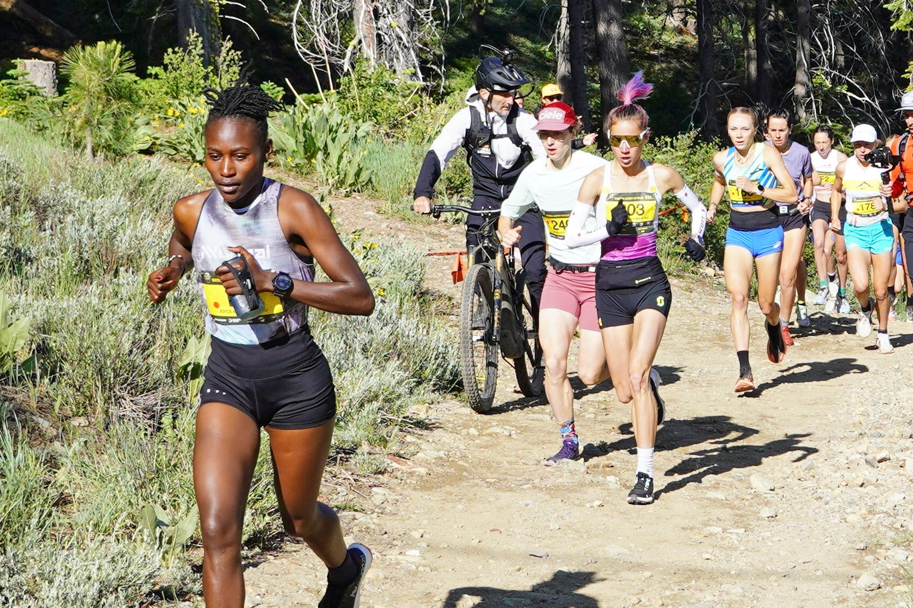 2025 Mountain/Ultra/Trail Runners of the Year:  Aggregated Scoring