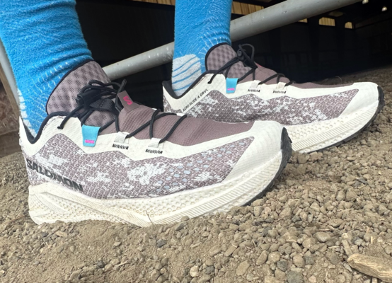 Salomon Aero Glide 4 GRVL