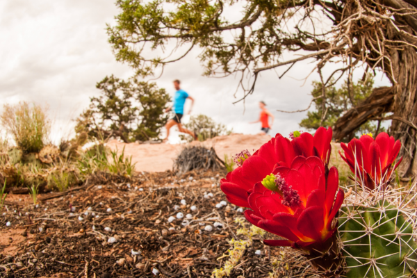Dead Horse Ultra Great Trail Running Races in Utah