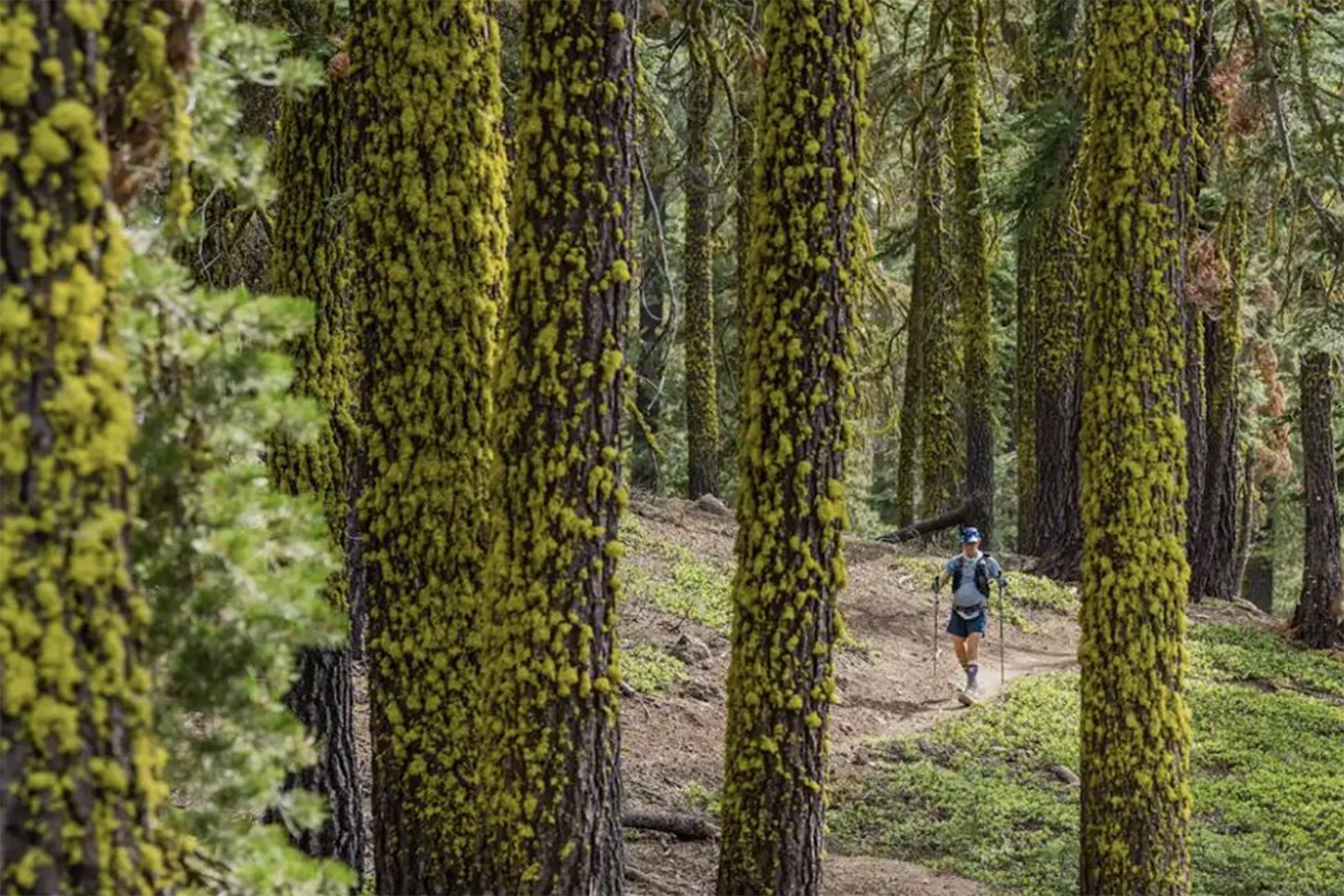 Tahoe 200 Endurance Run