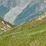 The importance of celebrating the microwins in ultrarunning.