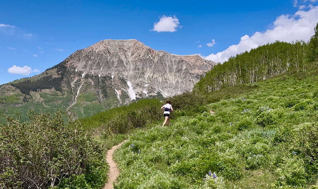 Notice the Landscape of the Natural World Around You