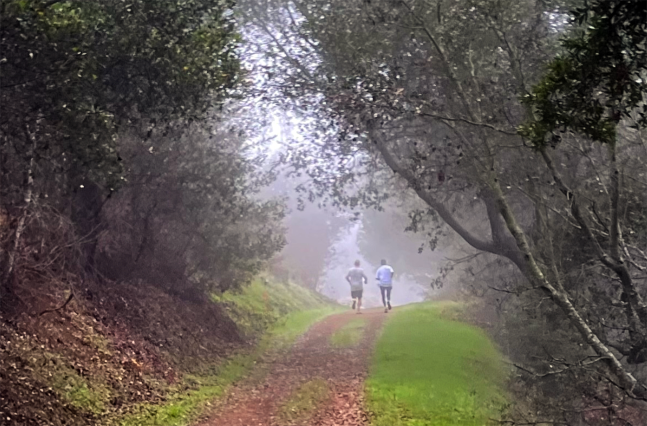 20 Great Trail Marathon Races to Run This Fall 27 Test your mettle in a trail marathon this fall