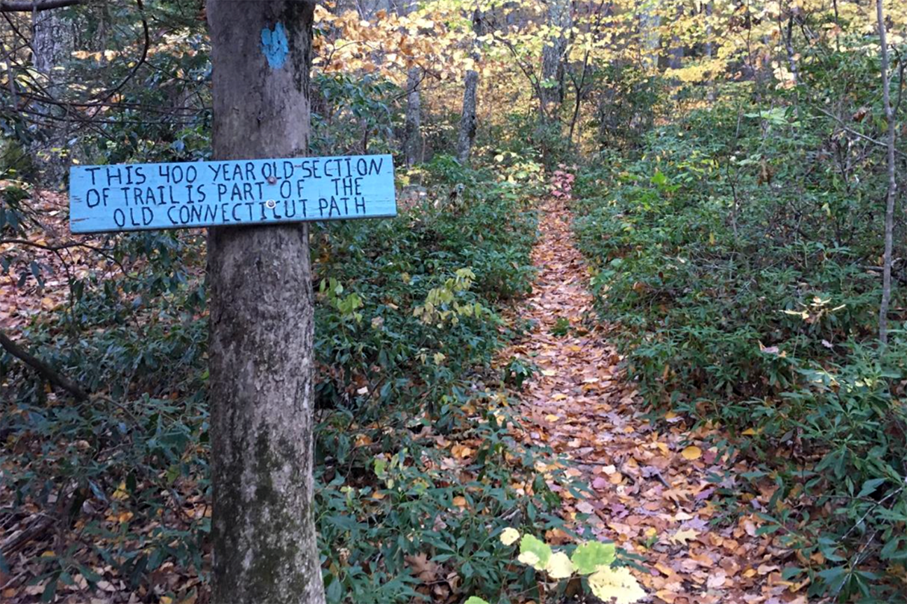 20 Great Trail Marathon Races to Run This Fall 13 Test your mettle in a trail marathon this fall